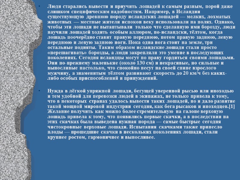 Люди старались вывести и приучить лошадей к самым разным, порой даже слишком специфическим надобностям.